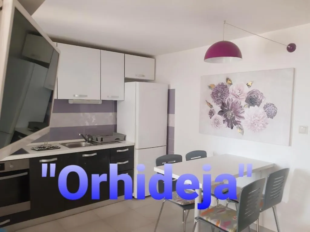 Apartment In Slatine With Sea View, Terrace, Air Conditioning, Wifi 5130-2